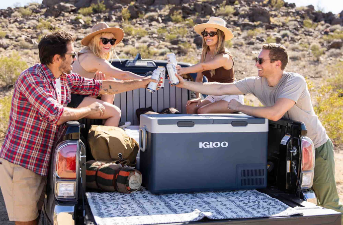Igloo electric cooler