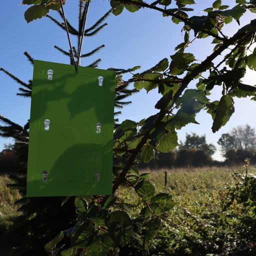 STV  Horse Chestnut Leaf Miner Trap Refill - Twinpack