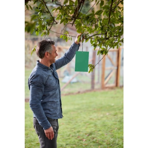 STV  Apple Maggot Trap Refill - Twinpack