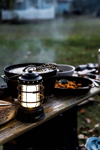 Barebones - Forest Lantern - Vintage White