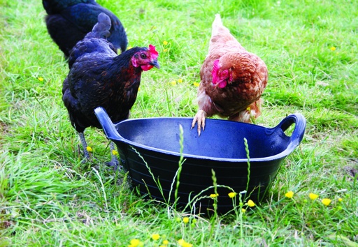 Red  Gorilla - Rubber Type Baskets & Skips - Medium