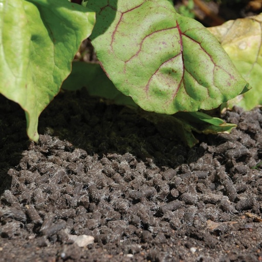 STV Slugs Away® Wool Pellets - 3L