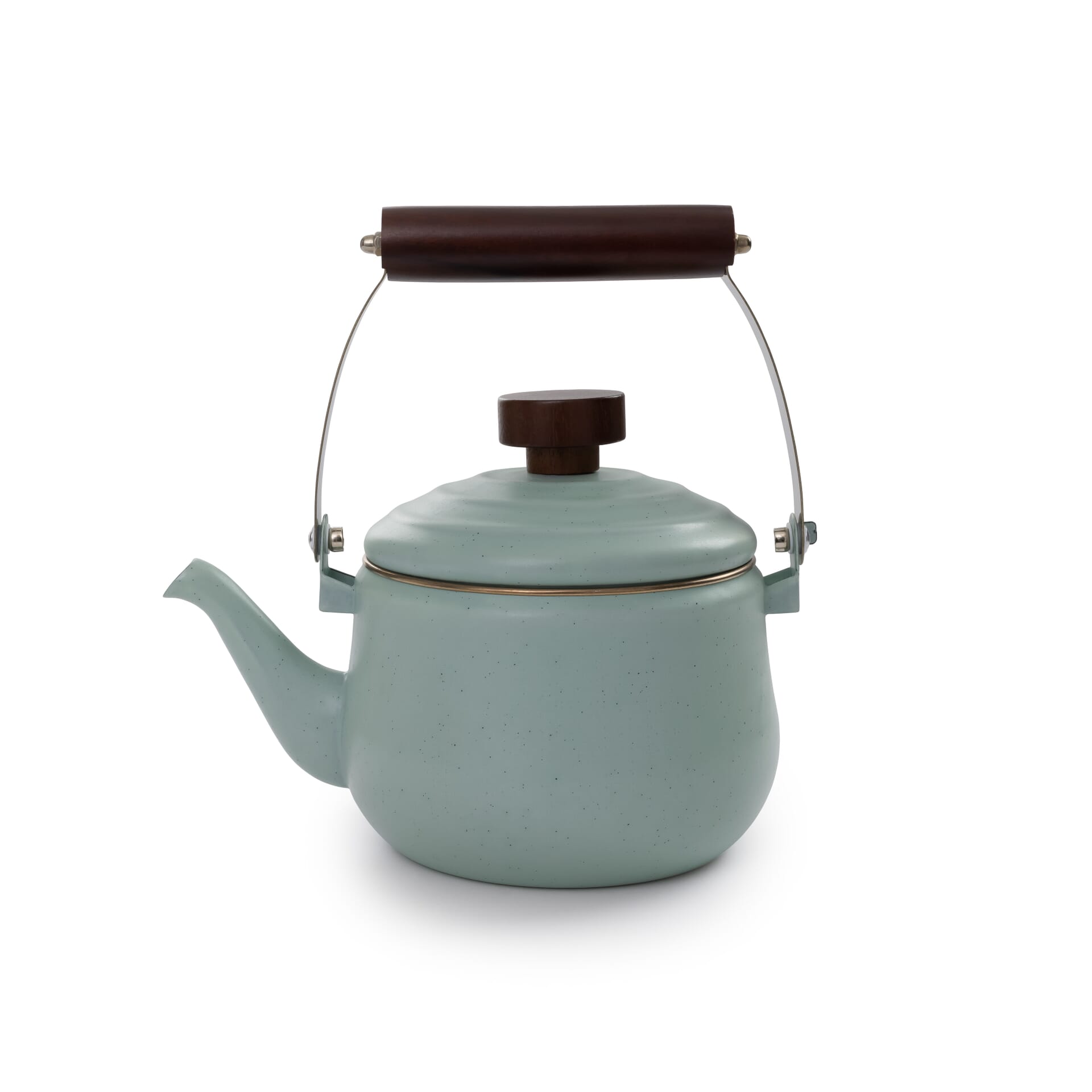 BareBones - Enamel Teapot Green